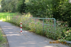 Radweg Stockhausen